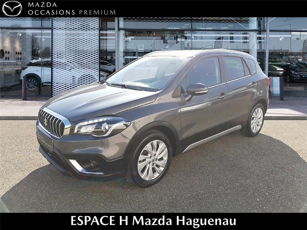 suzuki - Visuel 0
