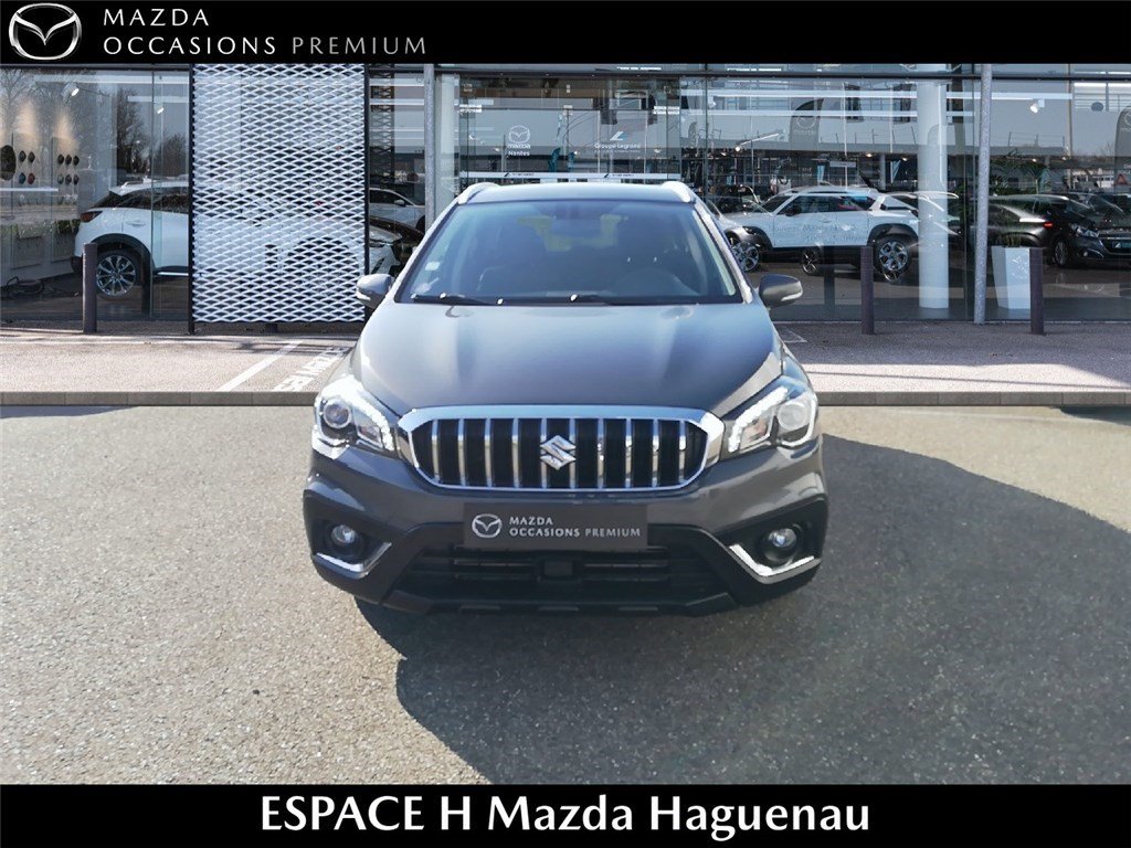 suzuki - Visuel 1