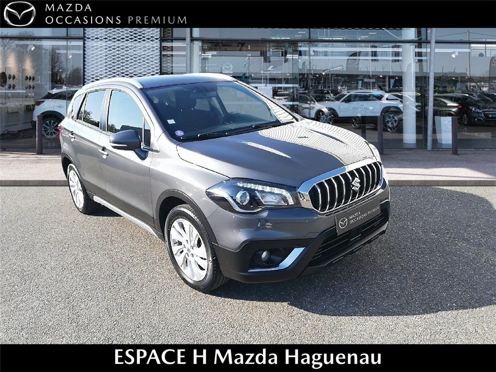 suzuki - Visuel 2