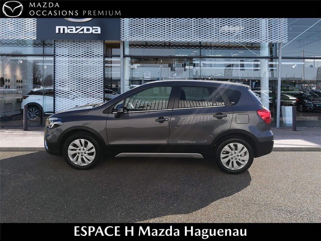 suzuki - Visuel 3