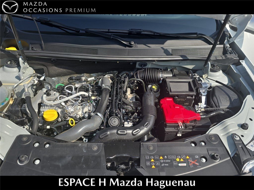 dacia - Visuel 16