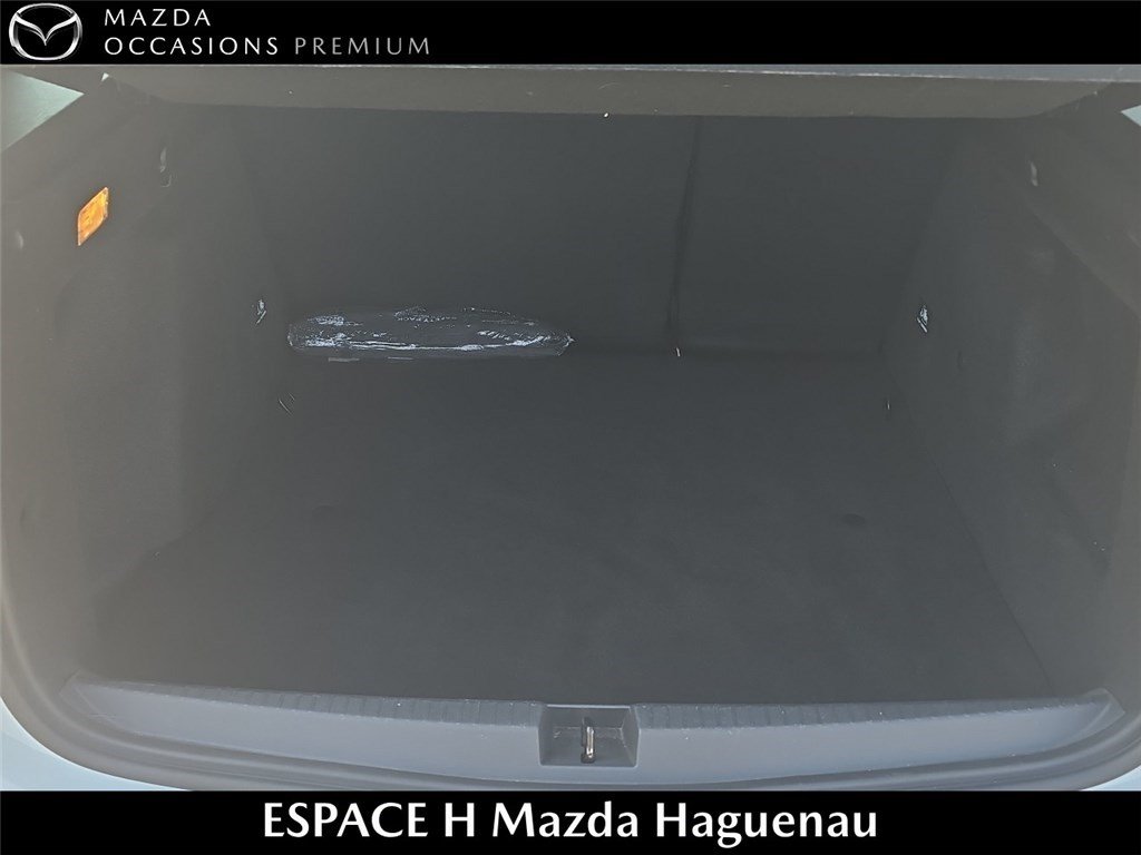 dacia - Visuel 4