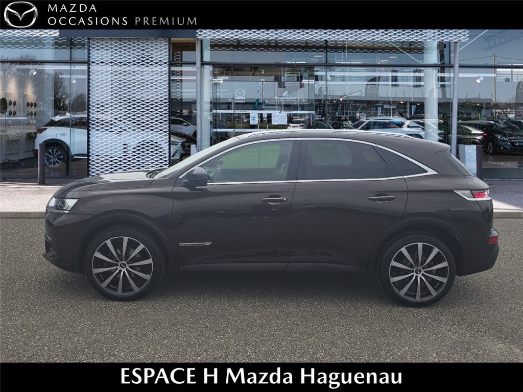 ds - Visuel 3