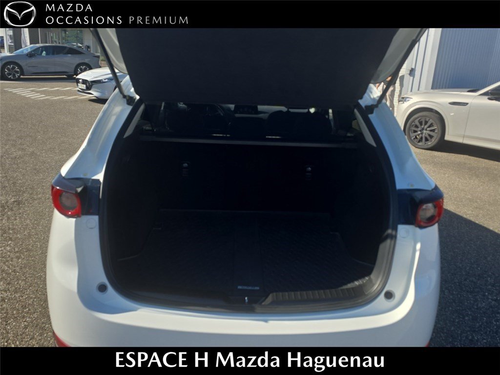 mazda - Visuel 4